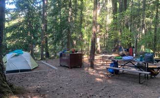 Emma A.'s photo of tent camping at McMillan — Ross Lake National Recreation Area near Marblemount, WA
