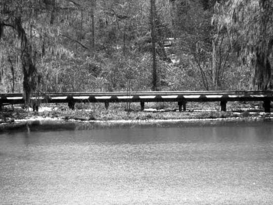 Camper-submitted photo at Sherling Lake Park and Campground near Alabama River Lakes