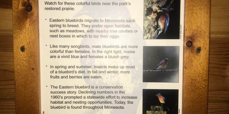 Camper submitted image from Afton State Park Campground