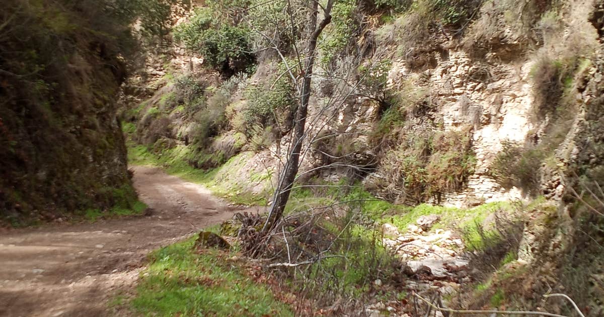 Colson Canyon Campground