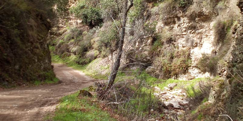 Camper submitted image from Colson Canyon Campground