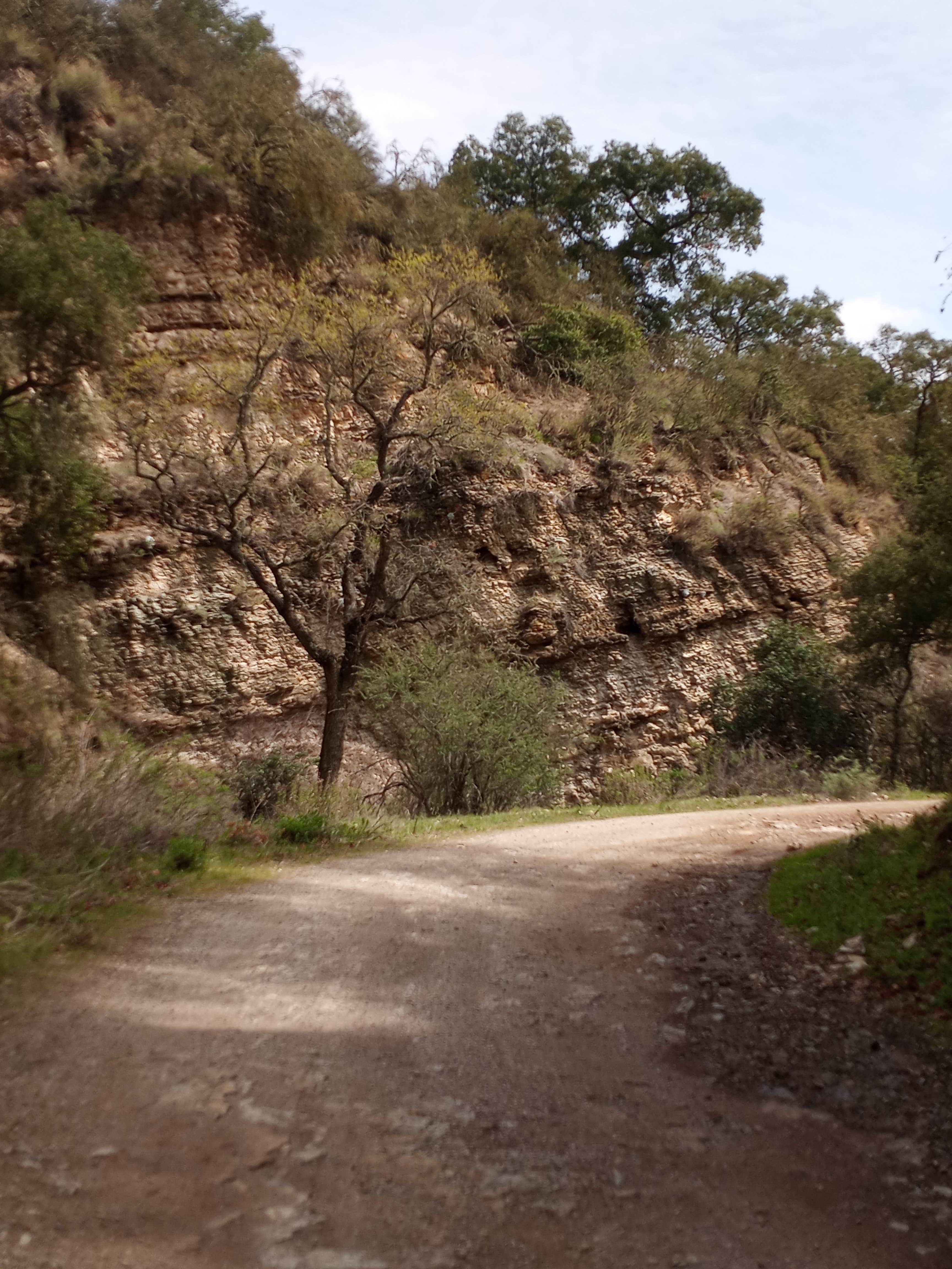 Atascadero - Photo 2