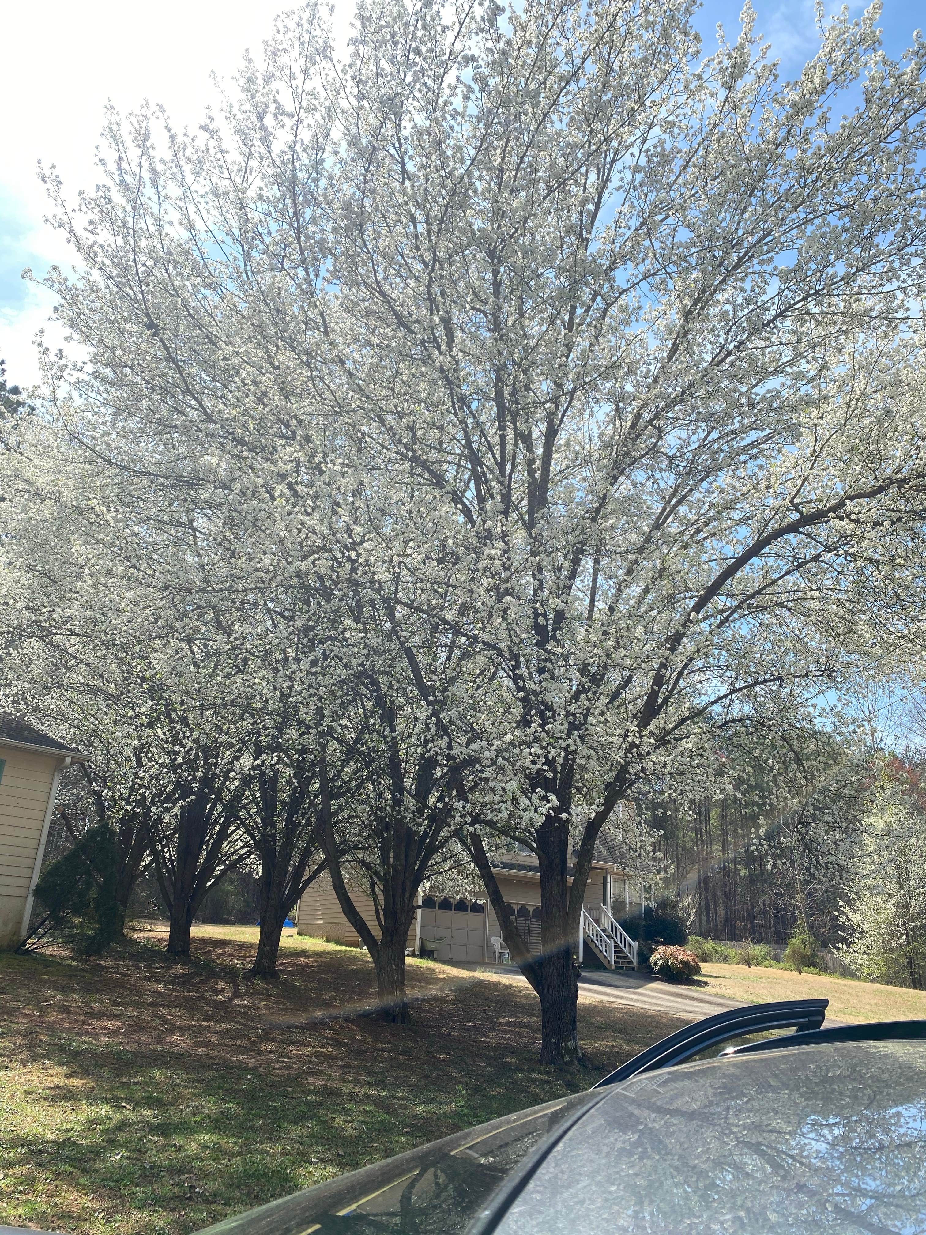 Camper-submitted photo at Atlanta-Marietta RV Park near Mableton, GA