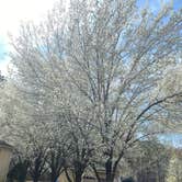 Review photo of Atlanta-Marietta RV Park by Brittney  C., March 16, 2021