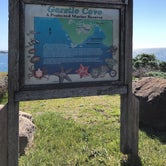 Review photo of Woodside Campground — Salt Point State Park by Celine D., March 16, 2021