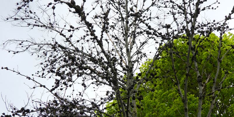 Camper submitted image from Baker Campground - Baker Park Reserve