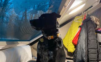 Shannon G.'s photo of camping with pets at Deer Creek State Park Campground near Paint Creek Lake