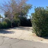 Review photo of Catalina Spa and RV Resort by JMark H., March 16, 2021