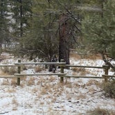 Review photo of Kyle Canyon Campground by Brittney  C., March 16, 2021