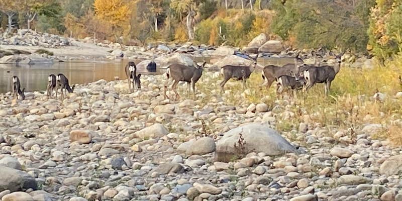 Camper submitted image from Frandy Park Campground