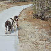 Review photo of Headquarters Campground — Salton Sea State Recreation Area by Darah F., March 16, 2021