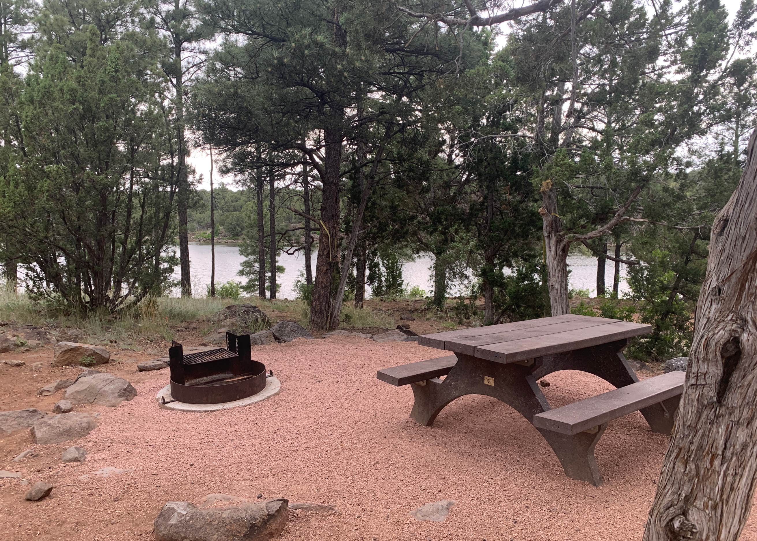 Show Low Lake Campground Camping The Dyrt