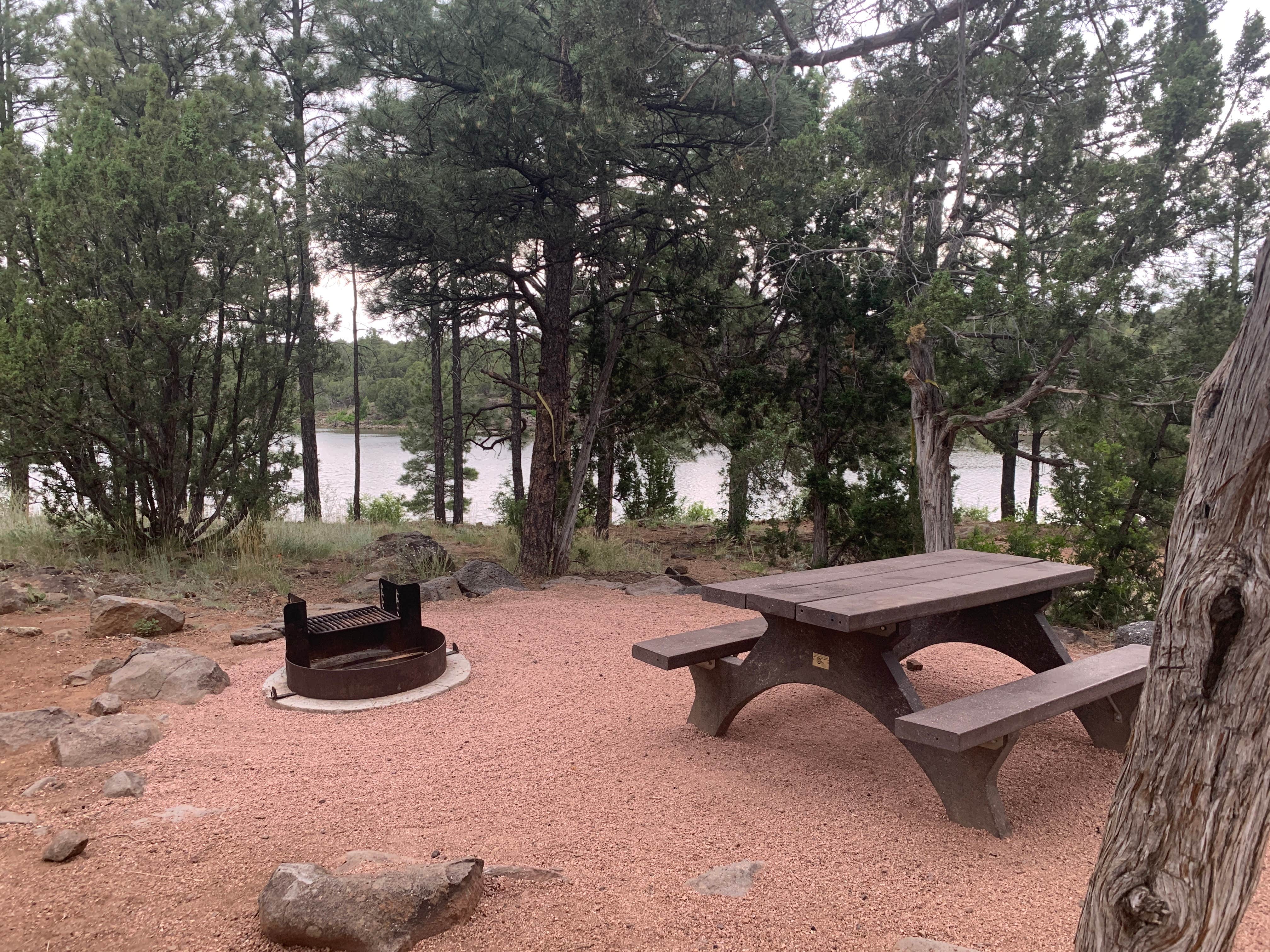 Camper submitted image from Show Low Lake Campground - 1