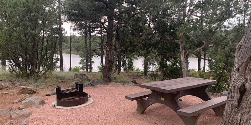 Camper submitted image from Show Low Lake Campground