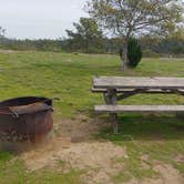 Review photo of Washburn Primitive Campground — Hearst San Simeon State Park by Laura M., March 16, 2021