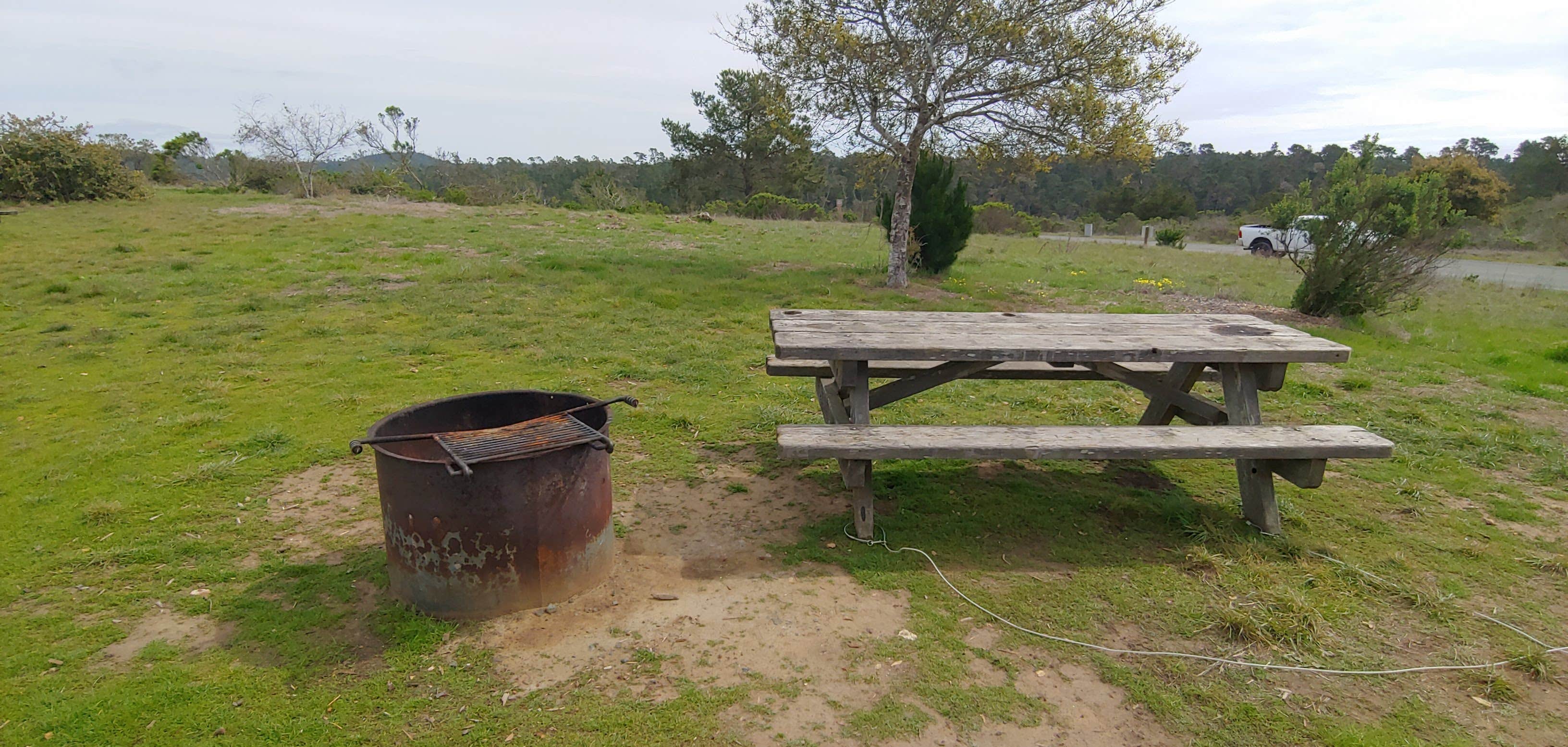 Camper submitted image from Washburn Primitive Campground — Hearst San Simeon State Park - 2