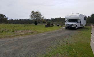 Laura M.'s photo of rv camping at Washburn Primitive Campground — Hearst San Simeon State Park near San Simeon, CA
