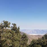 Review photo of Mahogany Flat Primitive Campground — Death Valley National Park by Tucker B., March 16, 2021