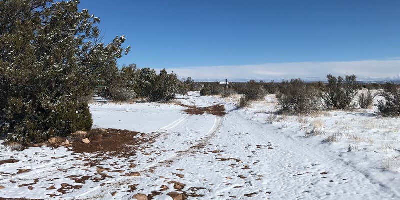 Camper submitted image from Jack's Canyon Camping and Climbing Area