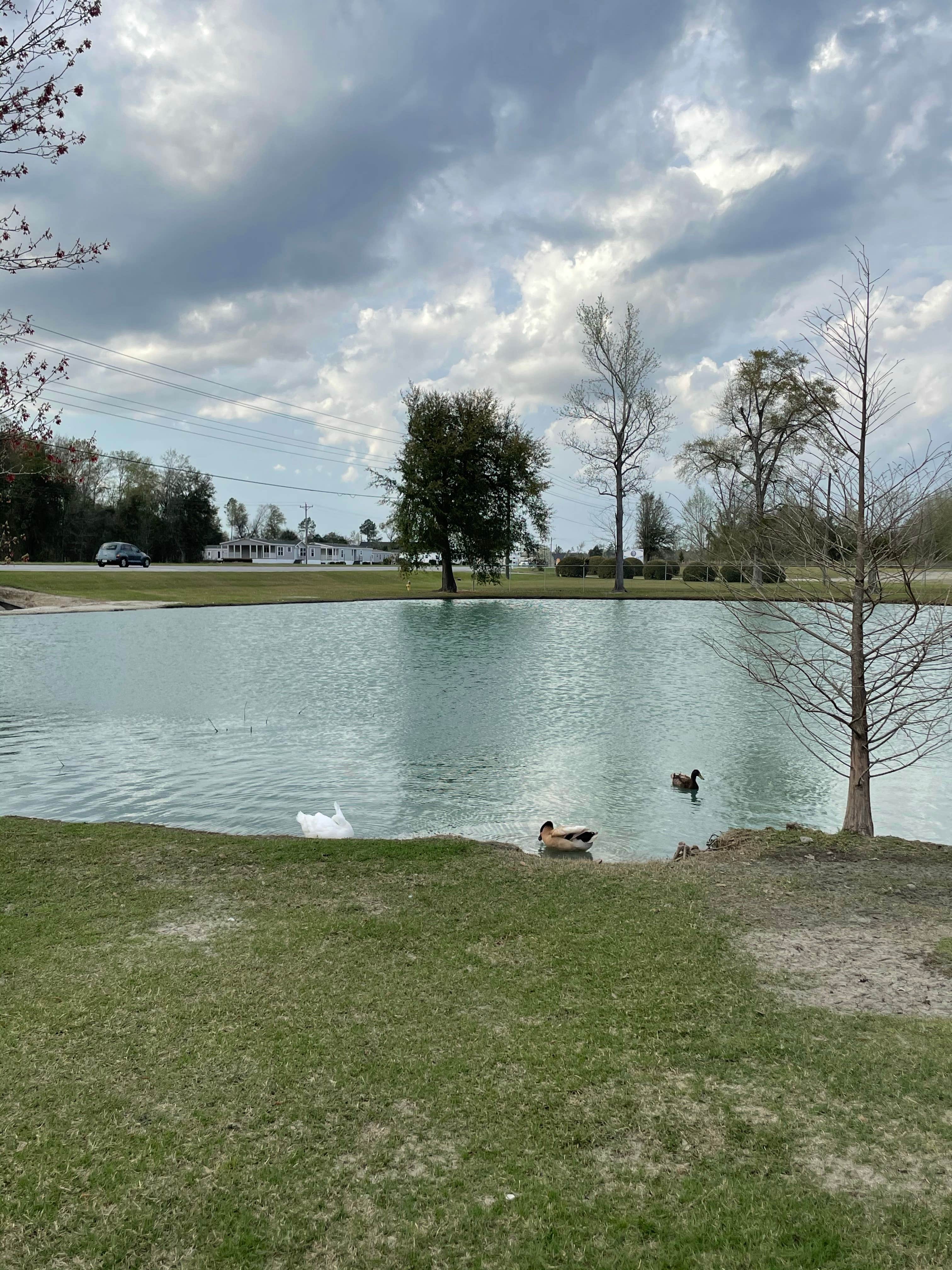 Camping near Burros Del Sol Dorado: Albany RV Resort, Albany, Georgia