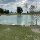 Review photo of Albany RV Resort by Joana A., March 16, 2021