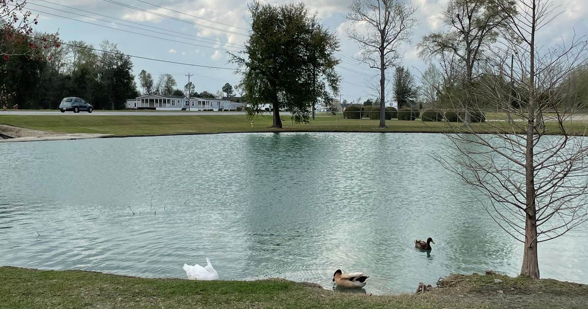 Albany RV Resort