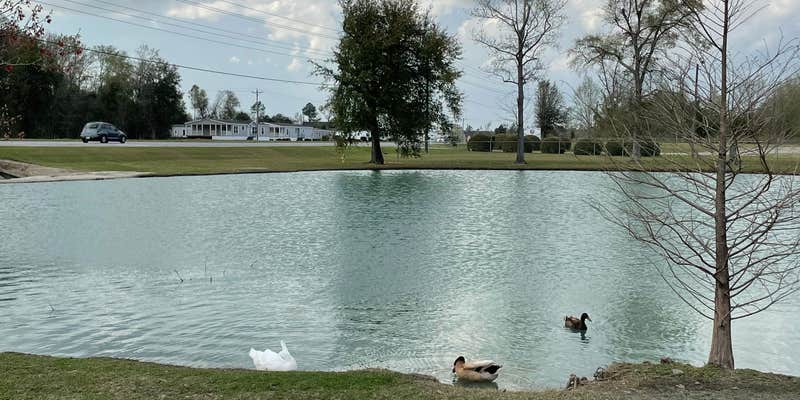 Camper submitted image from Albany RV Resort