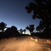 Review photo of Hidden Valley Campground — Joshua Tree National Park by Amina H., May 30, 2018
