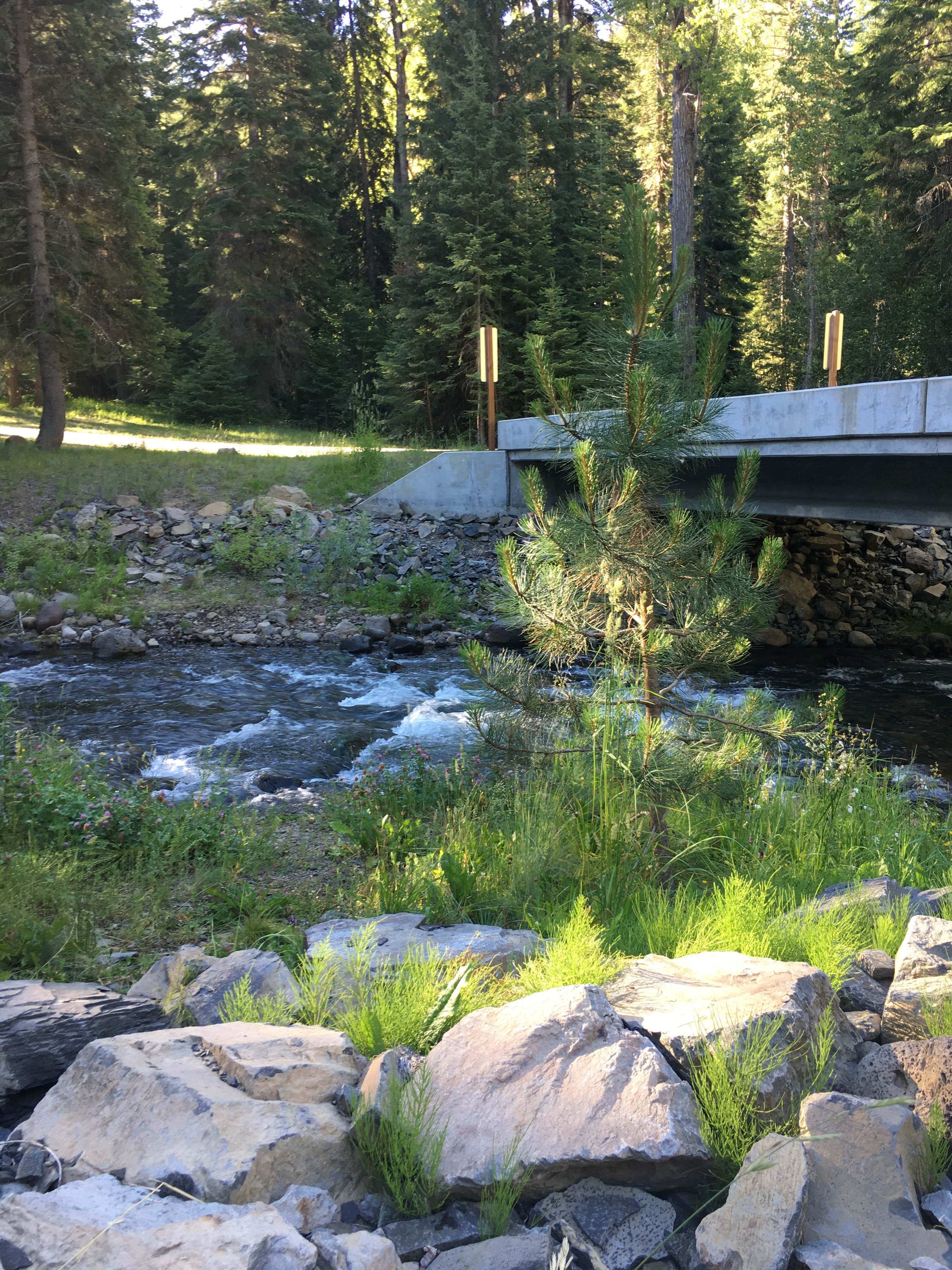 Camper submitted image from North Fork Catherine Creek Campground - 1