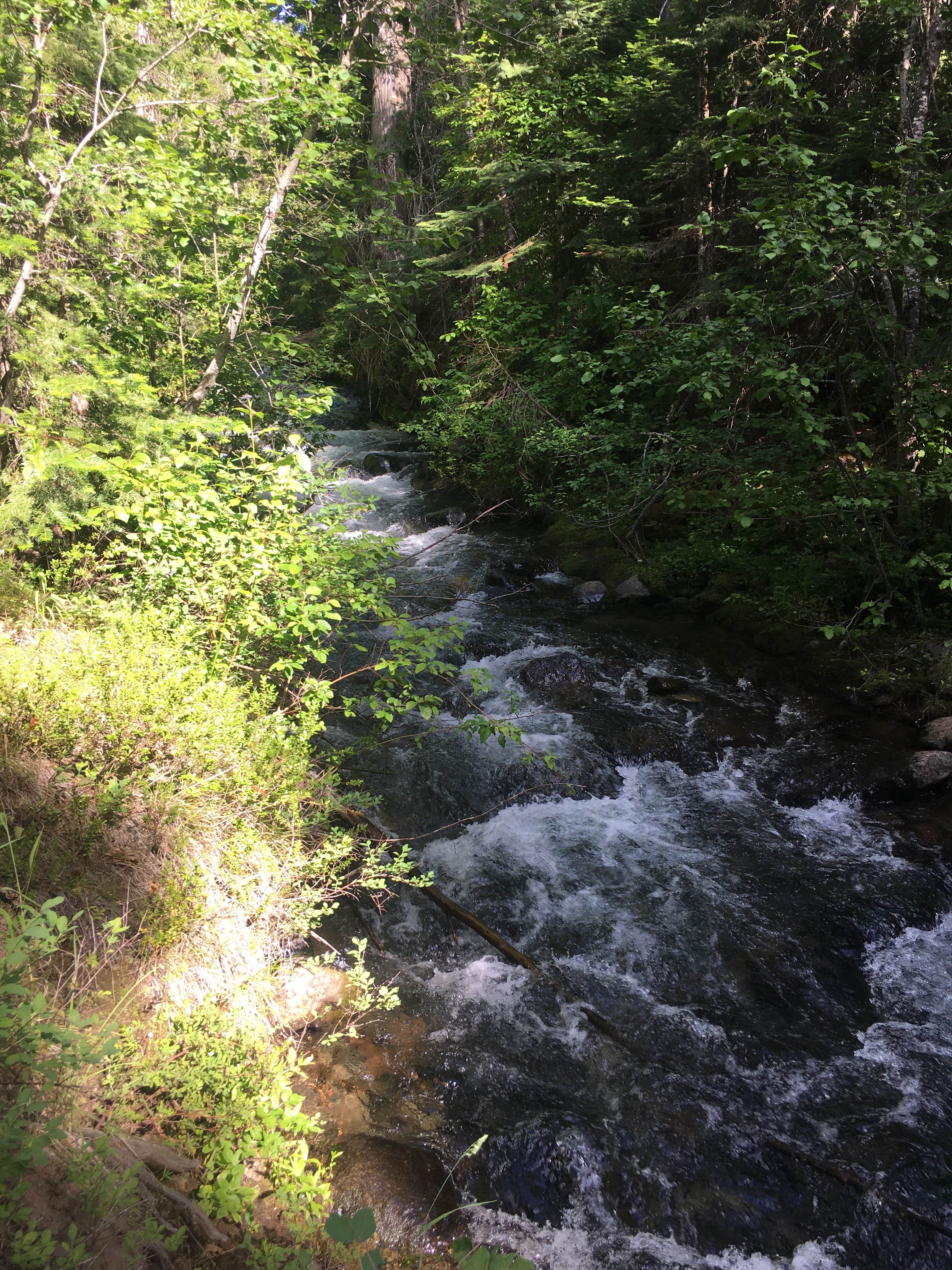 Camper submitted image from North Fork Catherine Creek Campground - 2