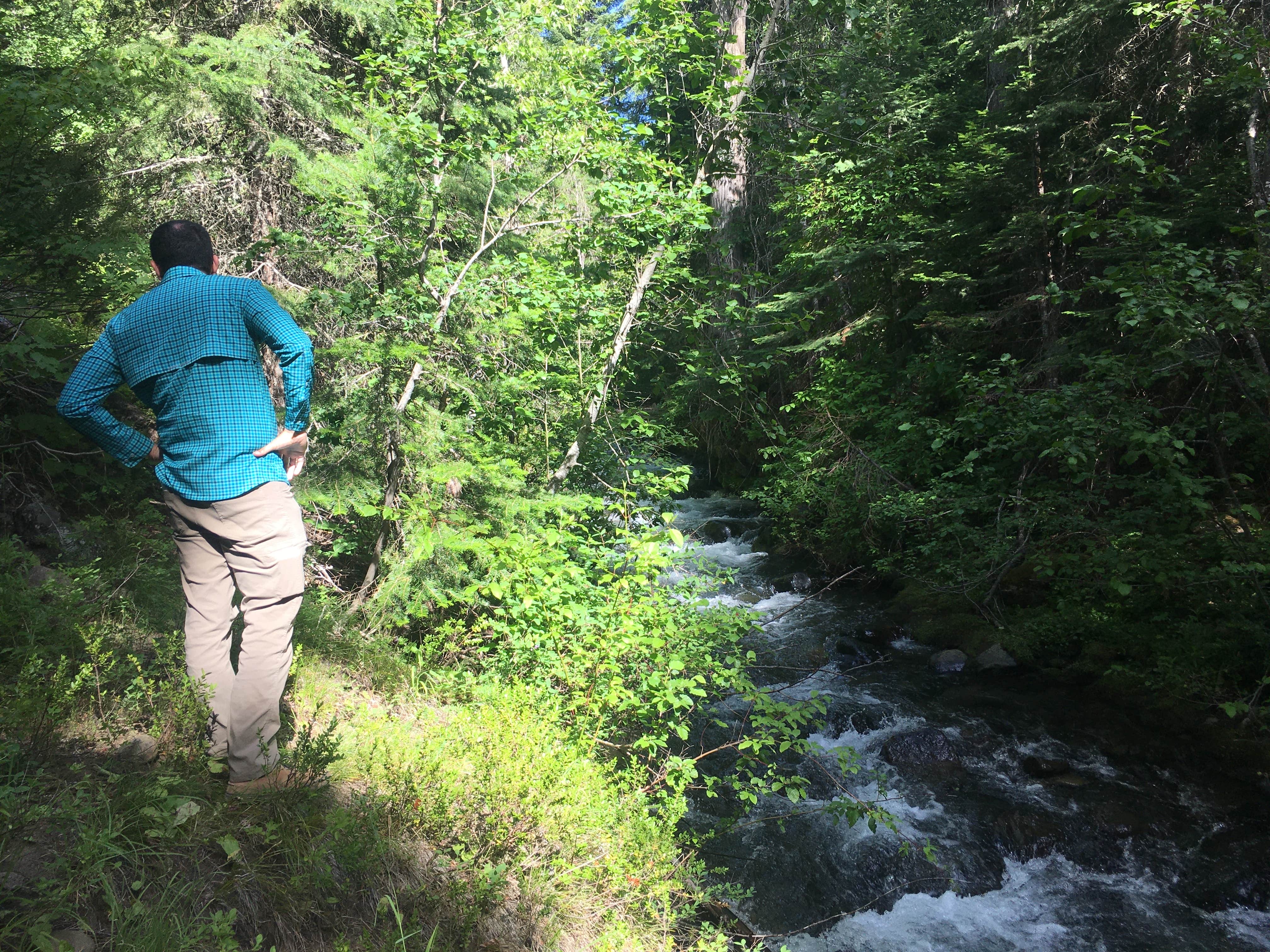 Camper submitted image from North Fork Catherine Creek Campground - 4