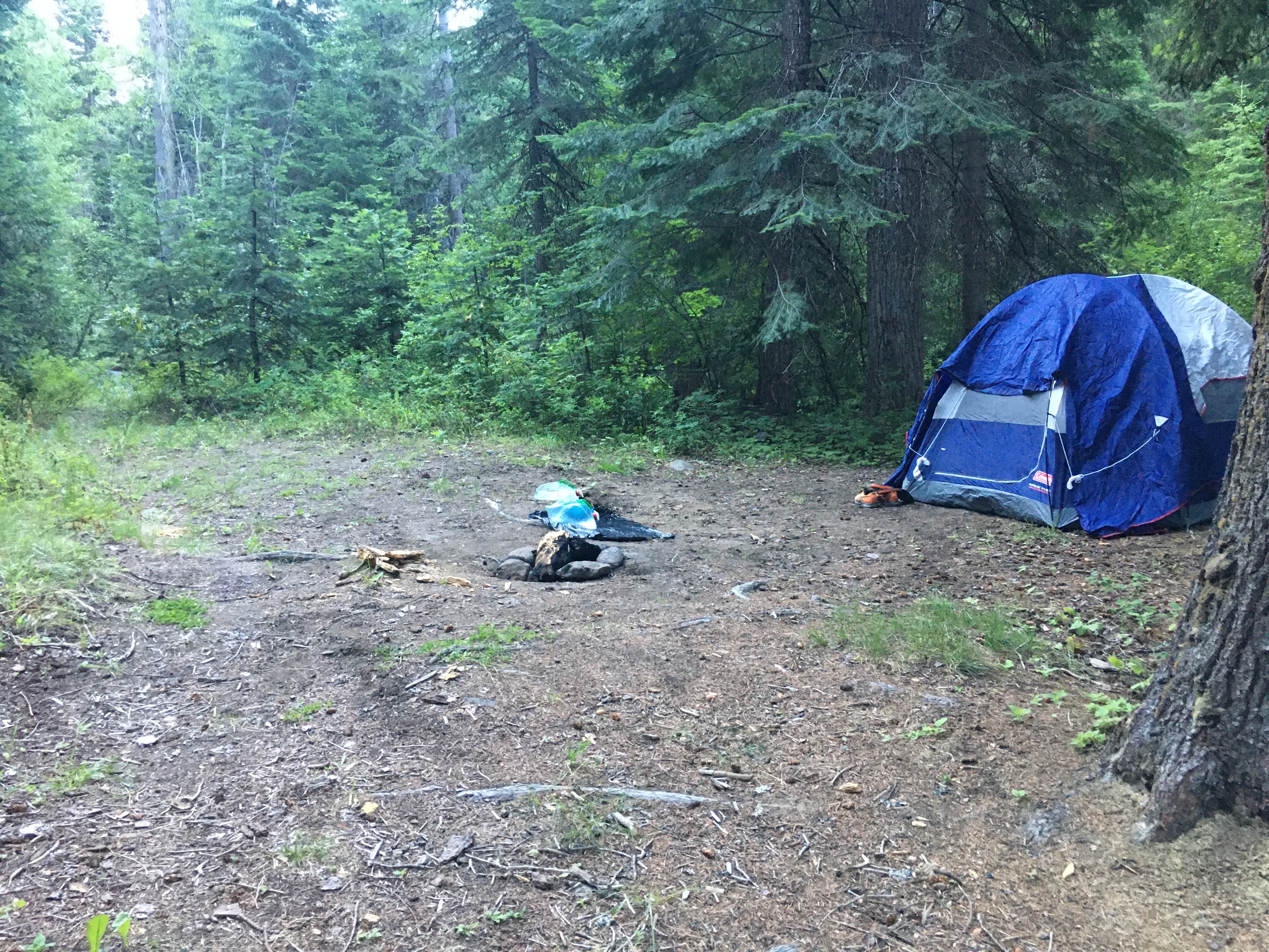 Camper submitted image from North Fork Catherine Creek Campground - 3
