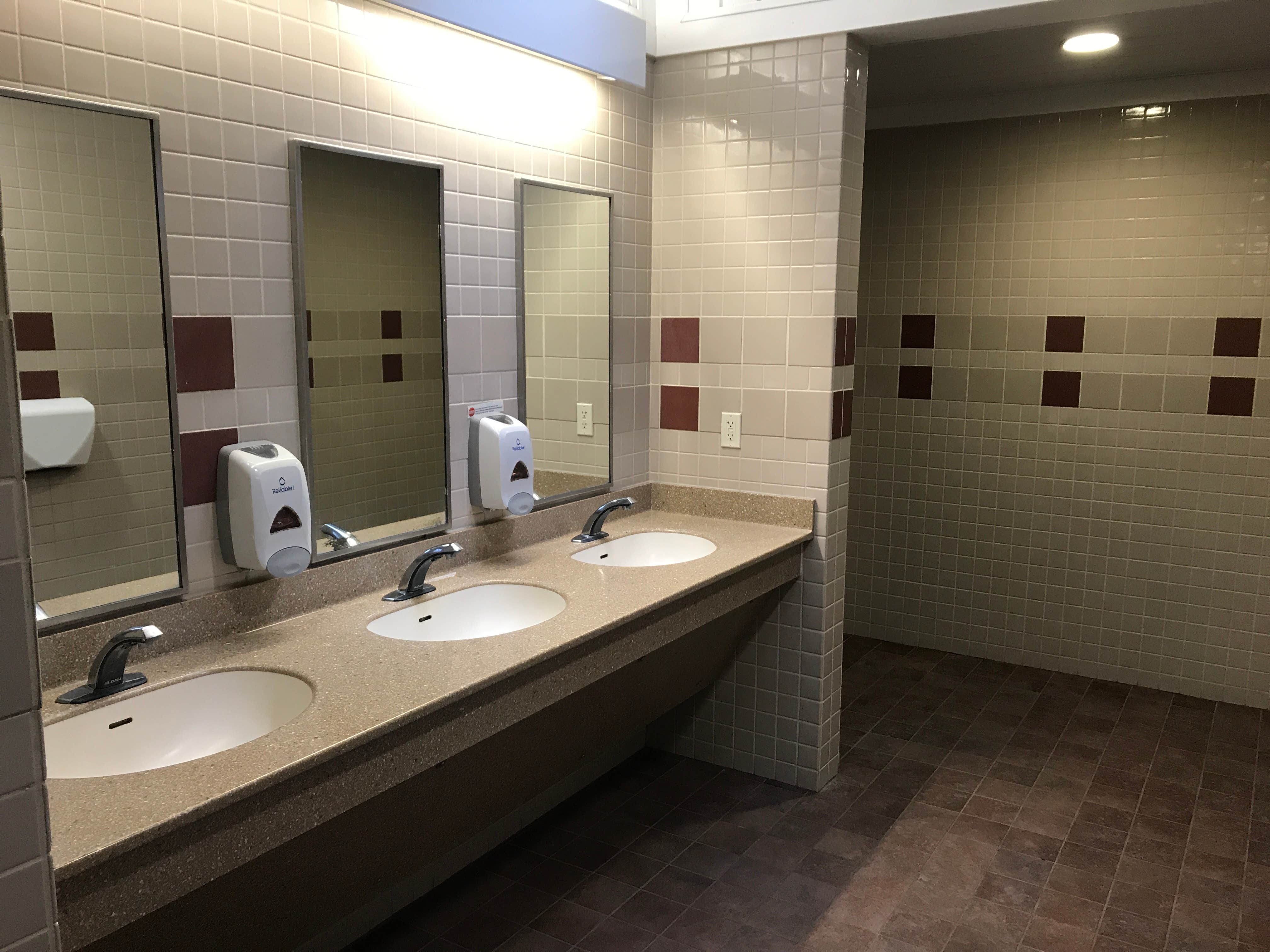 Camper-submitted photo at Pickerel Point Campground — Promised Land State Park near Hewitt, NJ