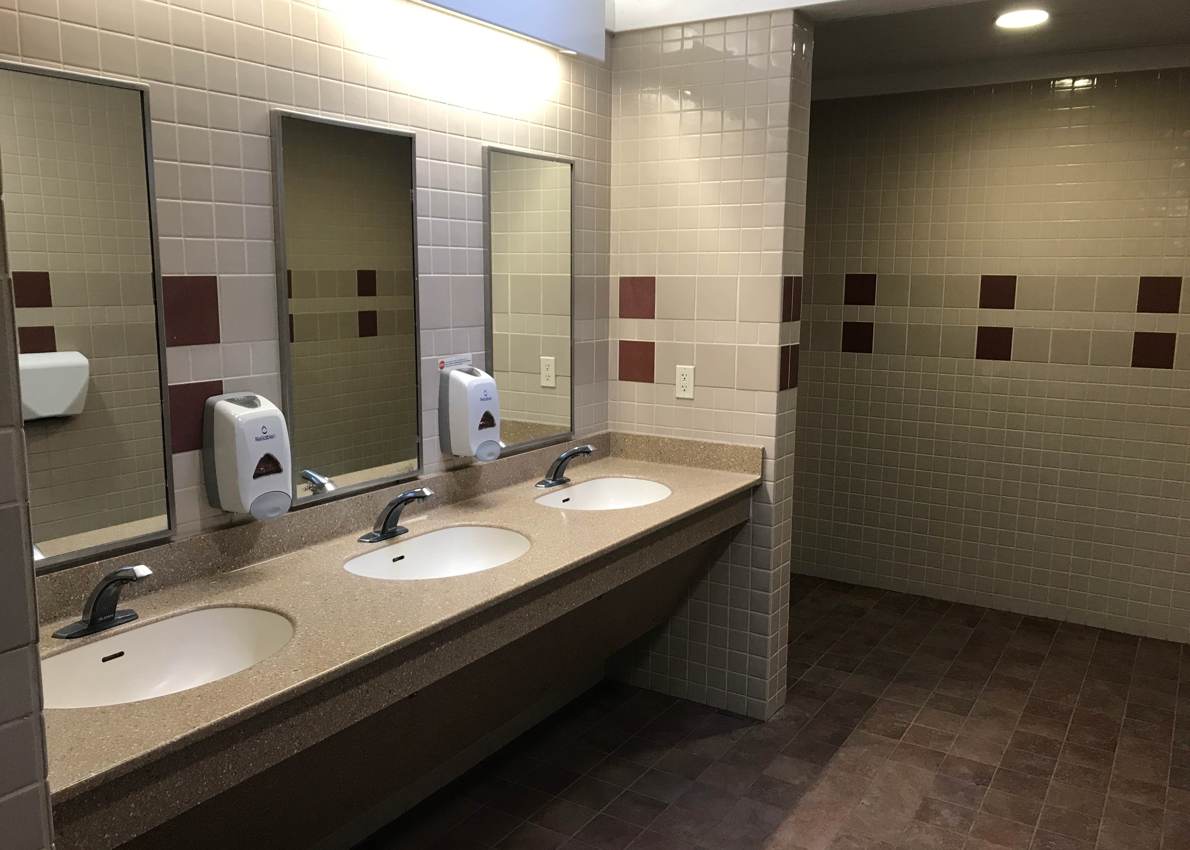 Pickerel Point Promised Land State Park Camping The Dyrt