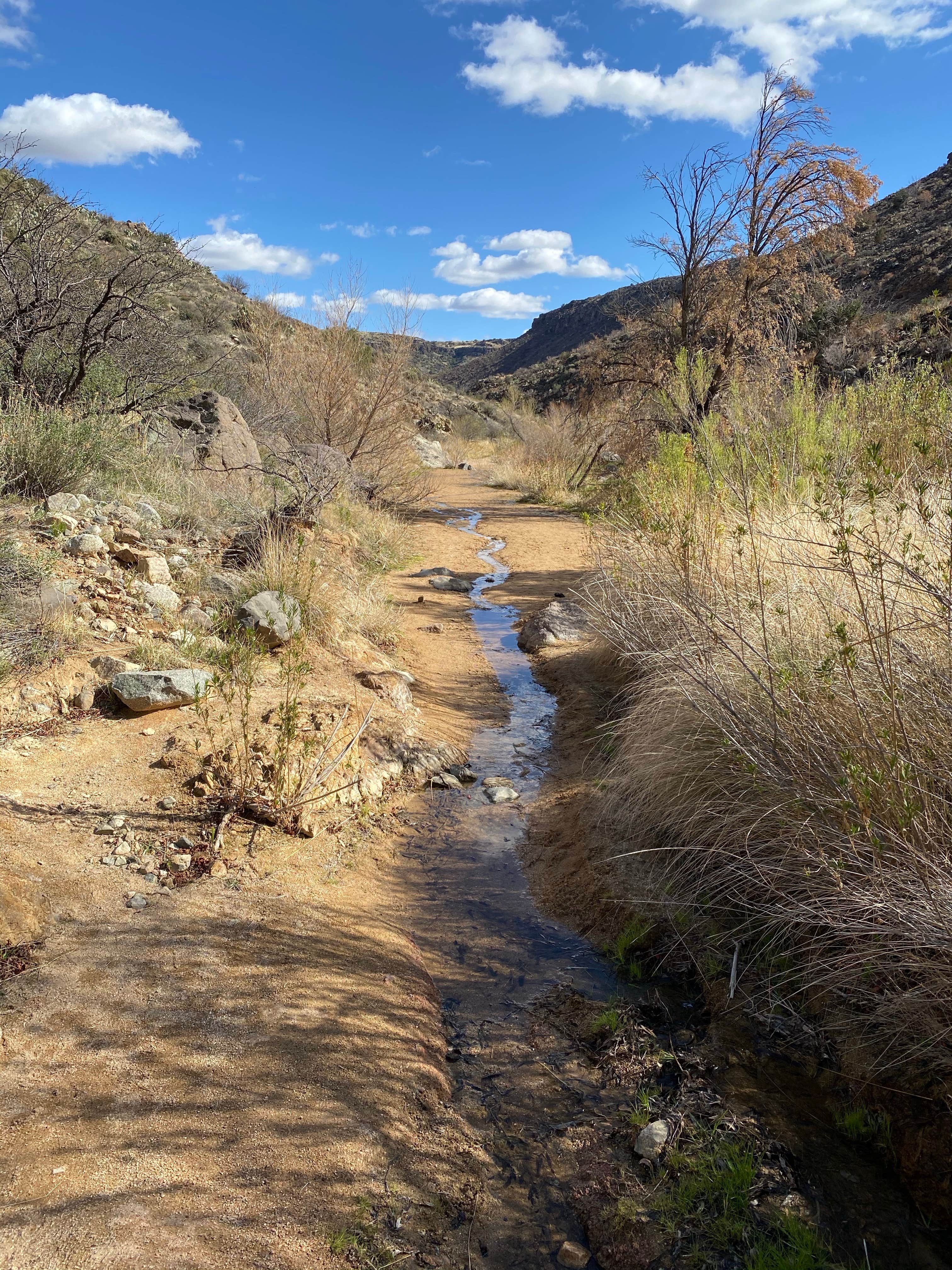 Camping near Sycamore Cabin: Badger Springs, Cordes Junction, Arizona