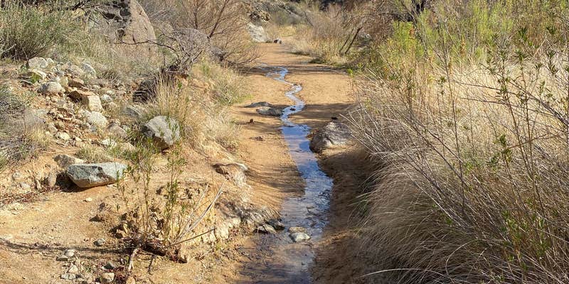 Camper submitted image from Badger Springs