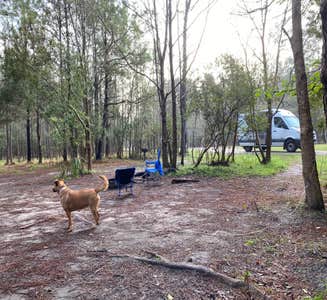 Camper-submitted photo from St. Bernard State Park Campground