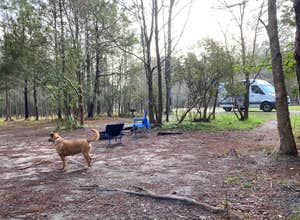 Fontainebleau State Park Campground