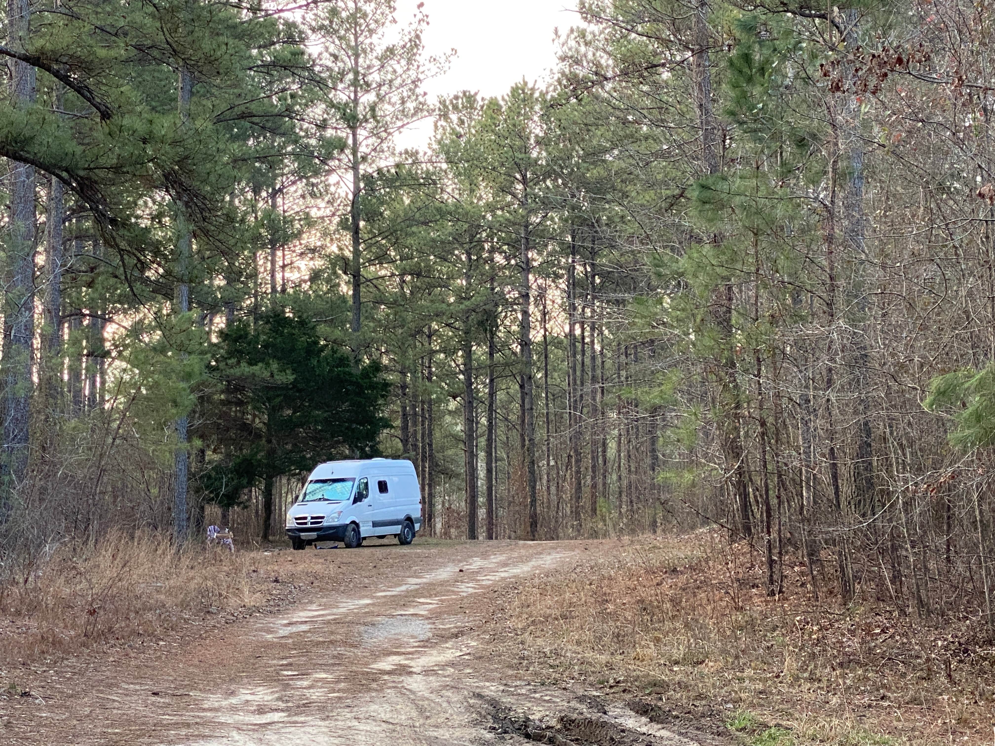 Camper-submitted photo at Thompson Creek Trail Campsites near Danville, AL