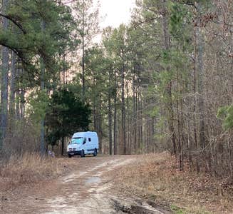 Camper-submitted photo from David Crockett State Park Campground