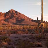 Review photo of Darby Wells Rd BLM Dispersed by Mike , March 17, 2021