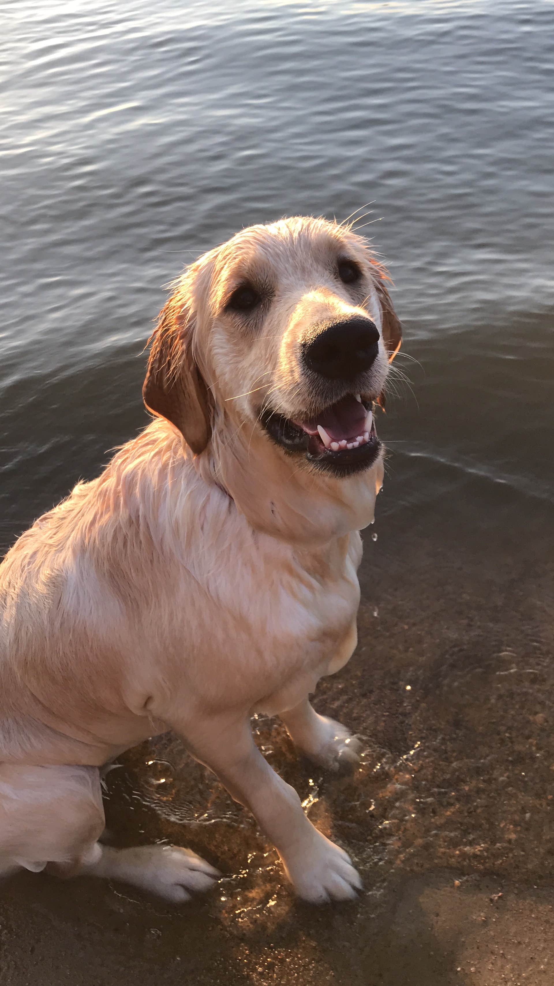 Camping near Lancaster Event Center: Lakeview Campground — Pawnee State Recreation Area, Malcolm, Nebraska