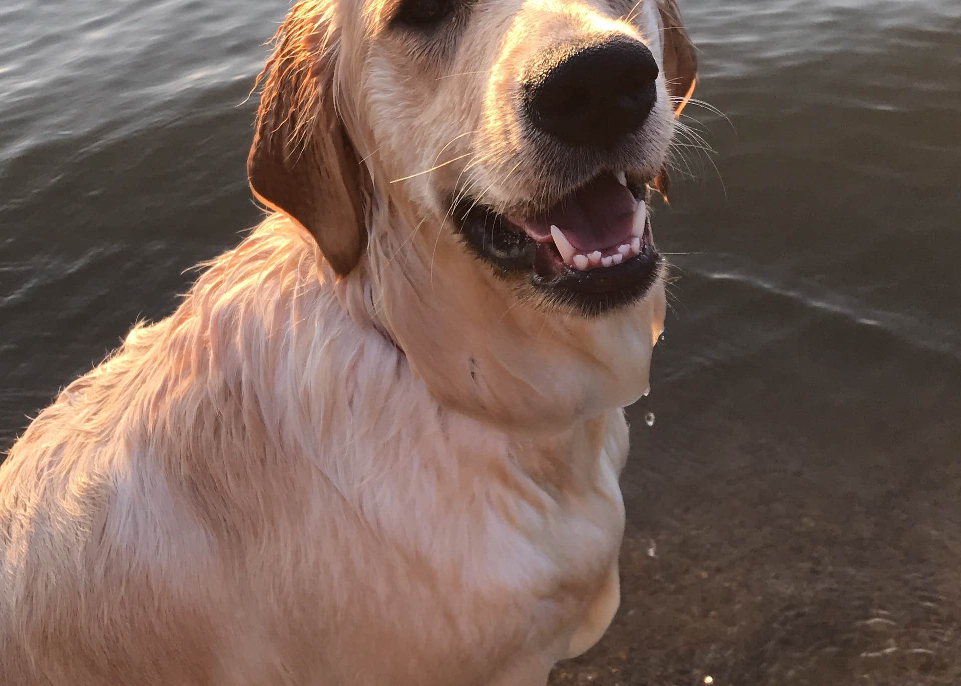 Pawnee State Recreation Area Camping The Dyrt