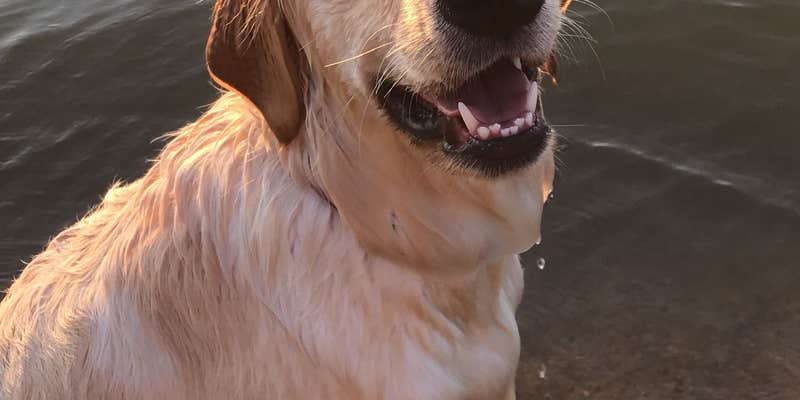 Camper submitted image from Lakeview Campground — Pawnee State Recreation Area