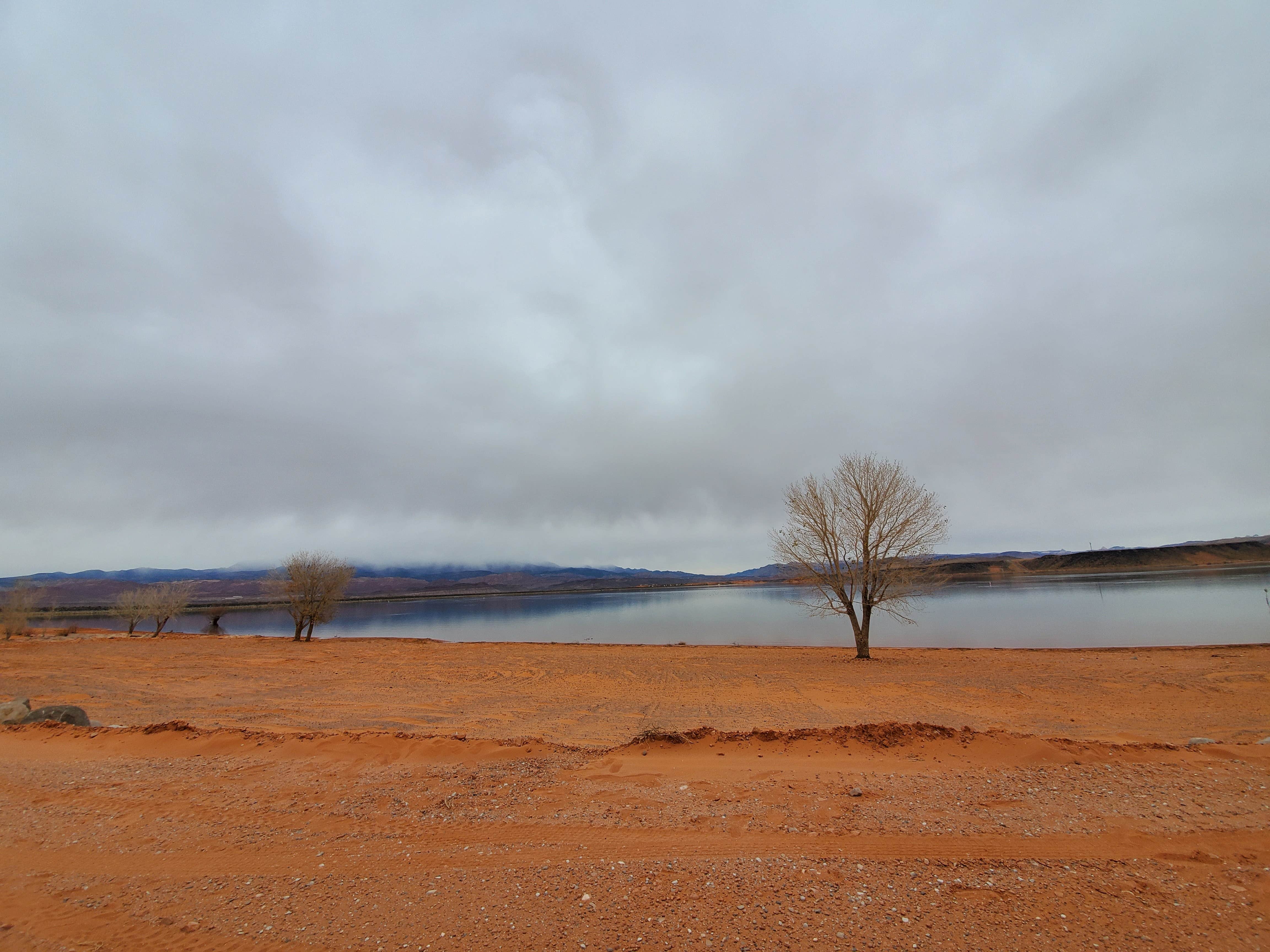 Camper submitted image from Sand Hollow State Park Campground - 1