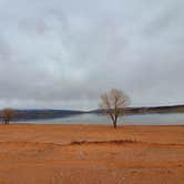 Review photo of Sand Hollow State Park Campground by Sherri , March 17, 2021