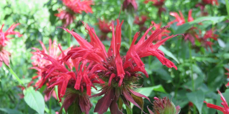 Camper submitted image from Boone Fork Campground