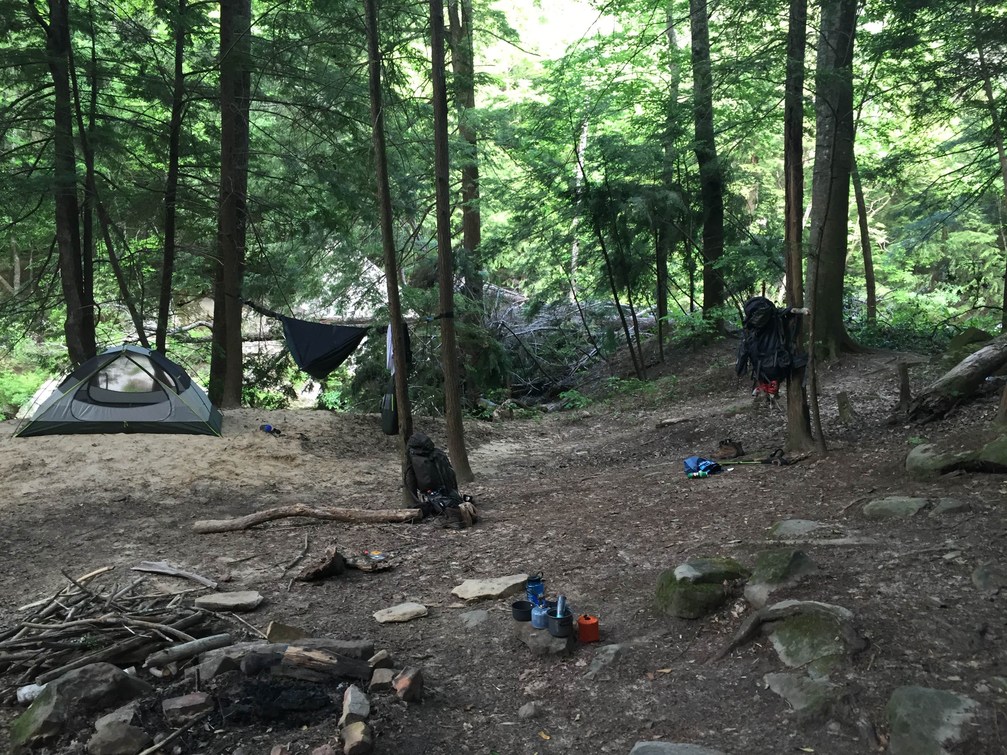 Camper submitted image from Thompson Creek Trail Campsites - 3