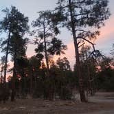 Review photo of McMillan Campground by Lev , March 17, 2021