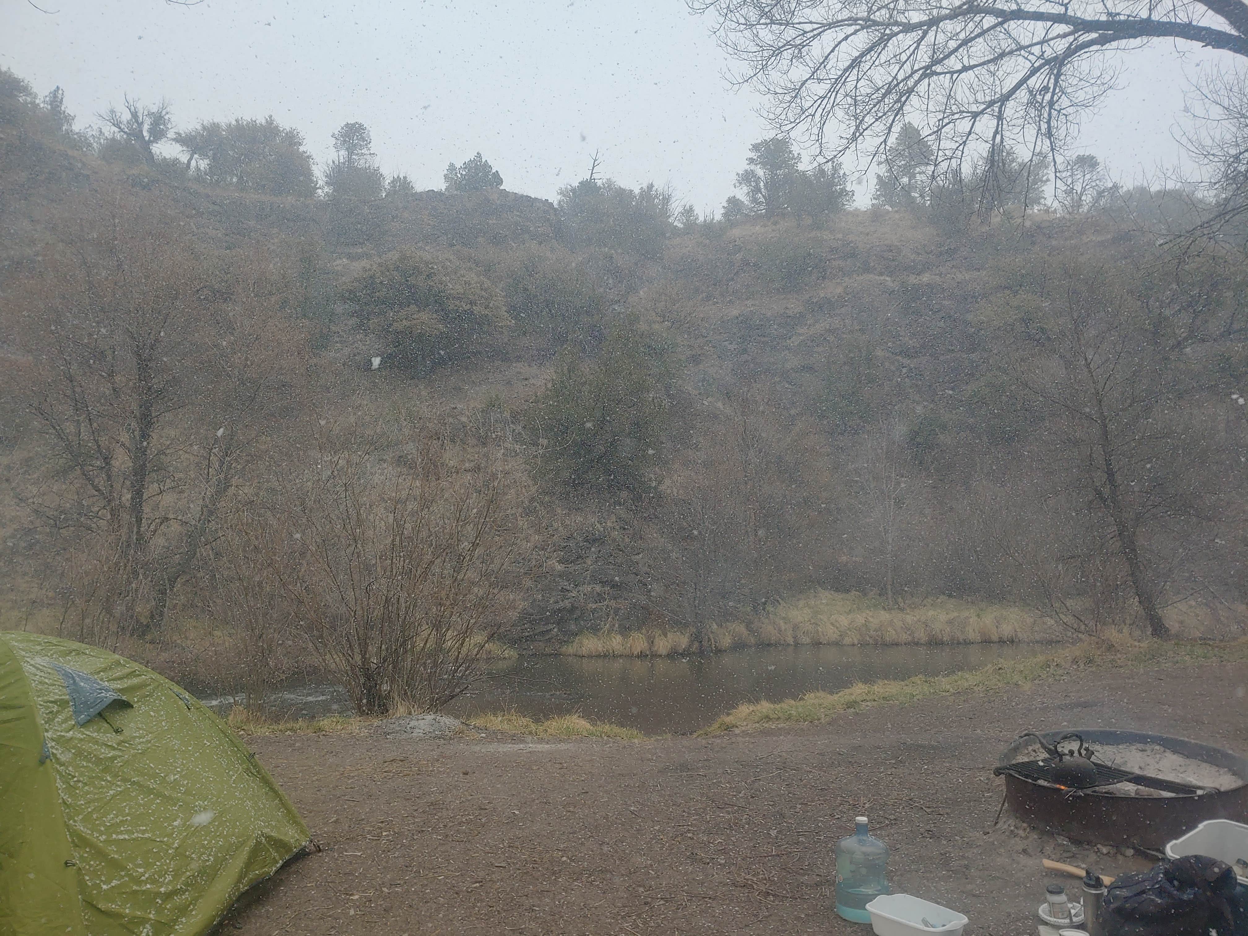 View All